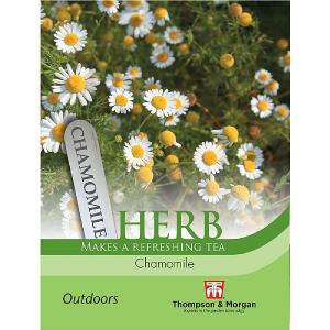 Thompson & Morgan Herb Chamomile Seeds