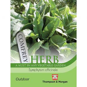 Thompson & Morgan Herb Comfrey Seeds