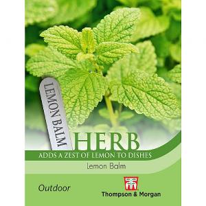 Thompson & Morgan Herb Lemon Balm Seeds