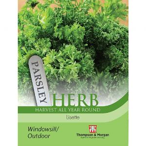 Thompson & Morgan Herb Parsley Lisette Seeds