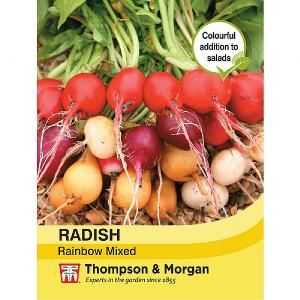 Thompson & Morgan Radish Rainbow Mixed