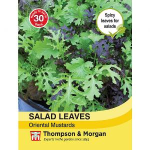 Thompson & Morgan Salad Leaves - Oriental Mustards