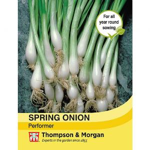 Thompson & Morgan Spring Onion Performer