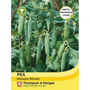 Thompson & Morgan Pea Kelvedon Wonder Seeds