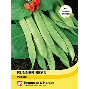 Runner Bean Polestar - 40 Seeds