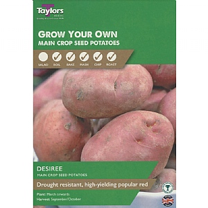 Desiree Main Crop Seed Potatoes Taster Pack (Pack of 10)