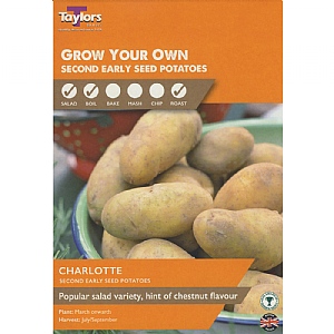 Charlotte Second Early Seed Potatoes Taster Pack (Pack of 10)
