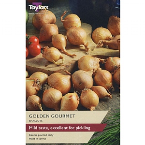 Shallot Golden Gourmet