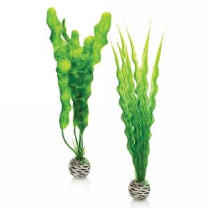 biOrb Easy Plant Set Medium