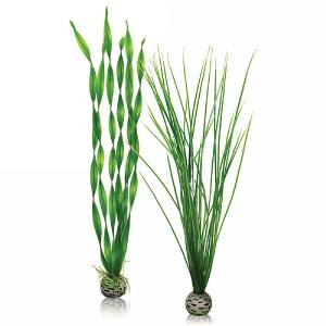 biOrb Easy Plant Set Large