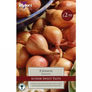 Shallot Jermor (10 Bulbs)