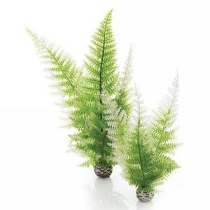 biOrb Aquatic Winter Ferns Plant Set