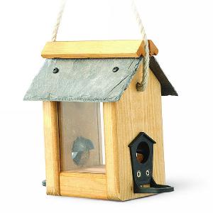 Welland Seed Feeder