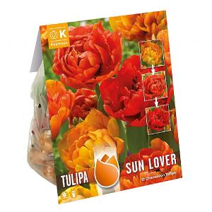 Tulip Sunlover (12 Bulbs)