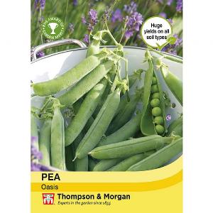 Thompson & Morgan Pea Oasis Seeds