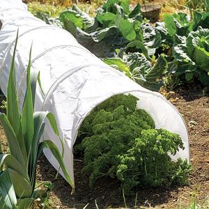 Tunnel Cloche with Polythene Cover