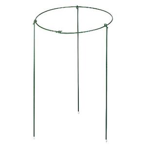 Green Plant Support Ring