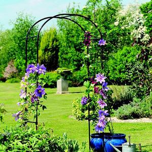 Garden Arch 1.9m x 1m