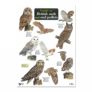 Wildlife World Field Guide to British Owls & Owl Pellets