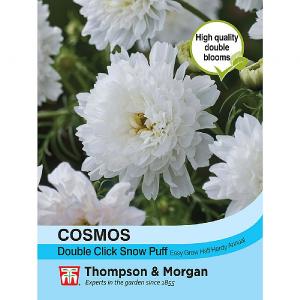 Thompson & Morgan Cosmos Double Click Snow Puff