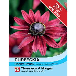 Thompson & Morgan Rudbeckia Cherry Brandy