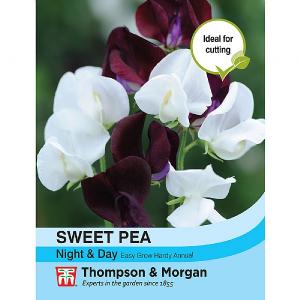 Thompson & Morgan Sweet Pea Night & Day
