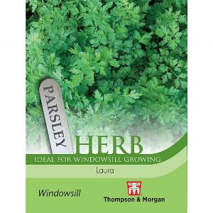 Thompson & Morgan Herb Parsley Laura Seeds