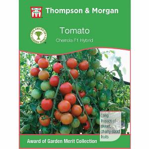 Thompson & Morgan Award of Garden Merit Tomato Cherrola F1 Hybrid