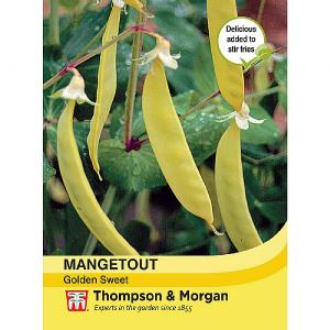 Thompson & Morgan Mangetout Golden Sweet Seeds