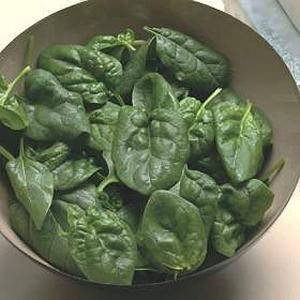 Spinach Picasso - 300 Seeds