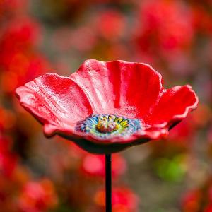Cast Iron Poppy Bird Feeder Dish