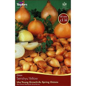 Onion Senshyu Yellow (50 Sets)