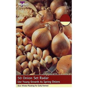 Onion Set Radar