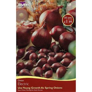 Onion Electric (50 Sets)