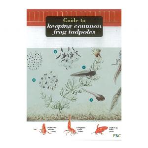 Wildlife World Keeping Frog Tadpoles Field Guide
