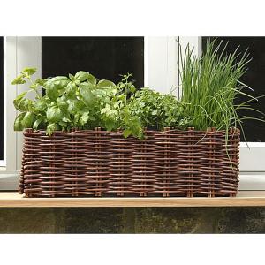 Willow Window Box Planter - Natural