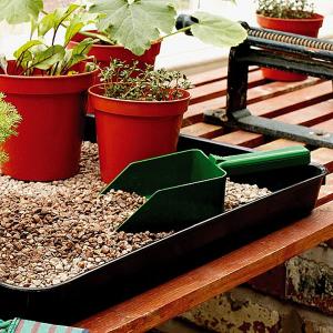 Scoop - Dark Green