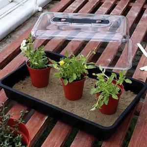 Black Gravel Tray - 54cm