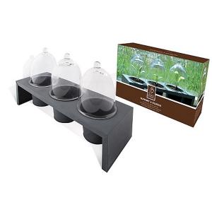 Cloche with Rack