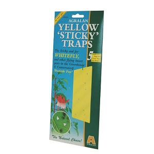 Yellow Sticky Traps
