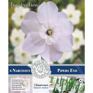 Narcissus 'Pipers End' (6 Bulbs)