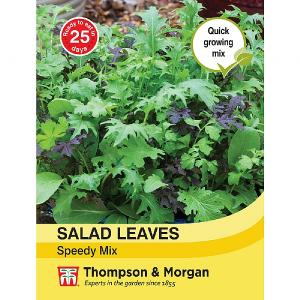 Thompson & Morgan Salad Leaves - Speedy Mix