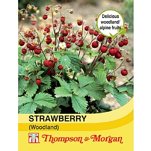 Thompson & Morgan Strawberry Woodland Seeds