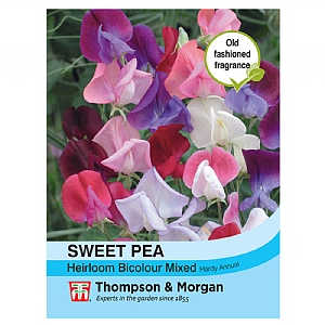 Thompson & Morgan Sweet Pea Heirloom Bicolour Mix