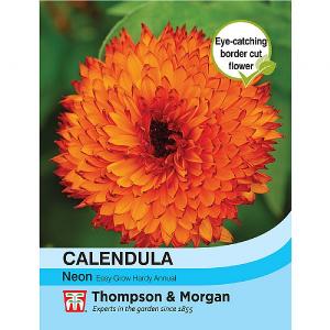 Thompson & Morgan Calendula Neon