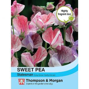 Thompson & Morgan Sweet Pea Statesman Mixed