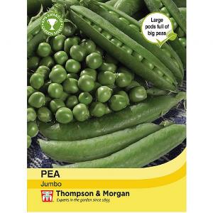 Thompson & Morgan Pea Jumbo Seeds