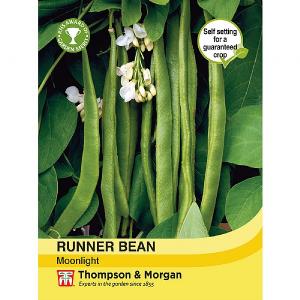 Thompson & Morgan Runner Bean Moonlight Seeds