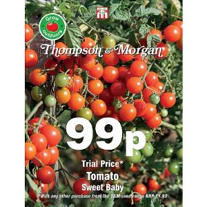 Thompson & Morgan Tomato Sweet Baby Seeds