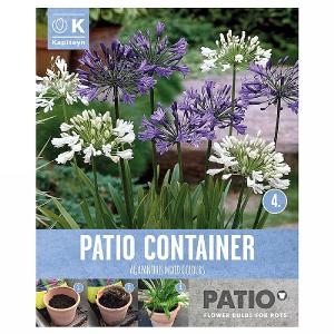 Garden Container Pack Agapanthus - Out Of Africa - 3 Bulbs